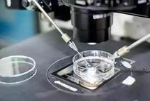 黔东南州中医院试管技术如何？