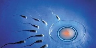 染色体异常不孕能在济宁医学院附属医院做三代试管怀孩子吗？男人染色体有问题能做试管吗？