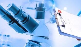 试管婴儿如何判断卵子质量？影响卵子质量的因素有哪些？如何获得高质量卵子？